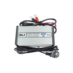 Cargador LIFEPO4 12V - 10A