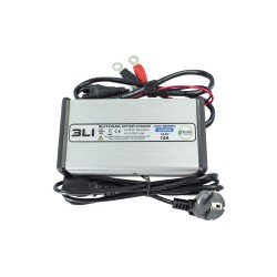 LIFEPO4 12V - 10A Charger
