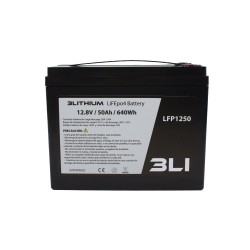 Lifepo4 Battery 12V 50Ah