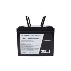 Lifepo4 Battery 12V 100Ah