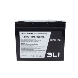 Batería Lifepo4 12V 100Ah